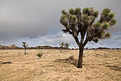 《ERA ONE》Steam抢先体验 太空战略生存建设